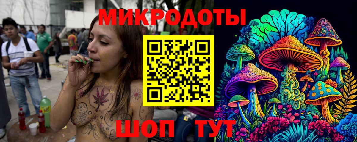 Псилоцибиновые грибы Psilocybe Владивосток